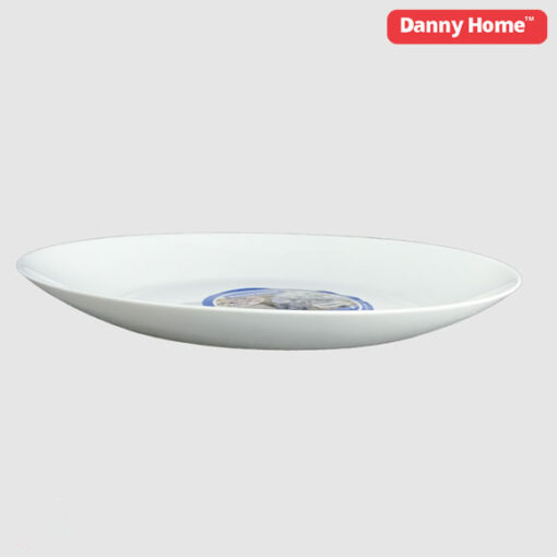 Danny Home Opal Glass Dinner Plate – 10.5inch